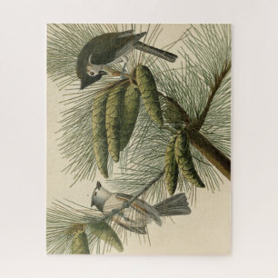 Crested (Tufted) Titmouse Audubon Birds of America Legpuzzel