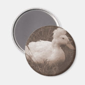 Crestie de Crested Duck Magneet (Voorkant / Achterkant)