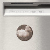 Crestie de Crested Duck Magneet (Insitu (Vaatwasser))