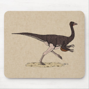 Cretacous Dinosaur Ornithomimus Muismat