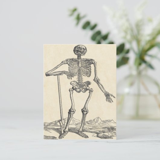 Creusé sa propre carte postale Grave (Debout devant)