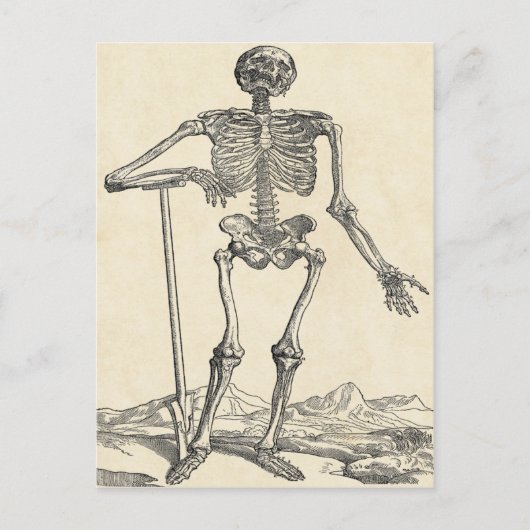 Creusé sa propre carte postale Grave (Devant)