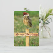 Creuser la carte de Noël de Père Noël de hibou (Debout devant)