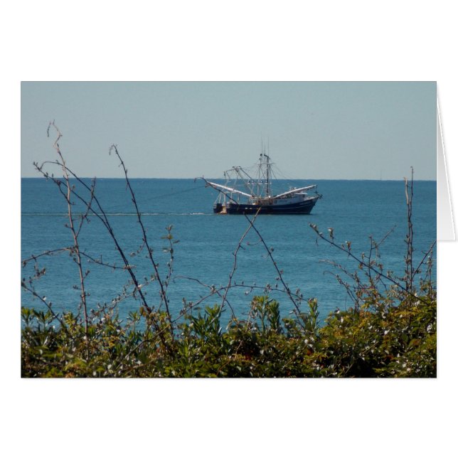 Crevettes (Devant Horizontal)