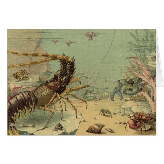 Crevettes, faune marine sous-marine, animaux océan (Devant horizontal)