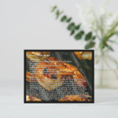 Crevettes sur la carte de recette (Debout devant)