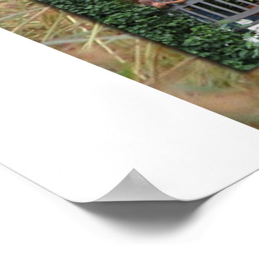 Crew26 Poster (Hoek)