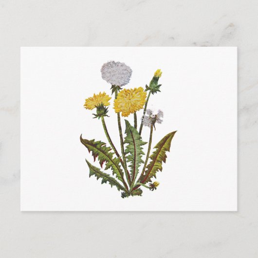 Crewel geborduurde gouden dandy leeuwen briefkaart (Voorkant)