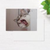 Criant British Shorthair (Bureau)