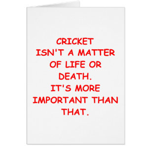 cricket