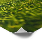 Cricket Bat Standing on Sunlit Field Poster (Hoek)