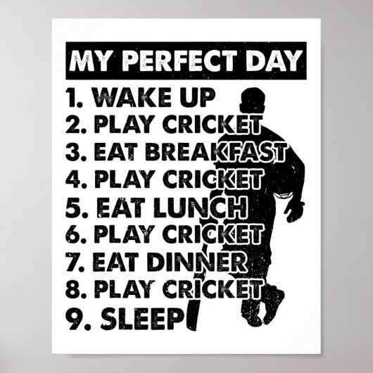 Cricket Day Plan Cricket Player Poster (Voorkant)