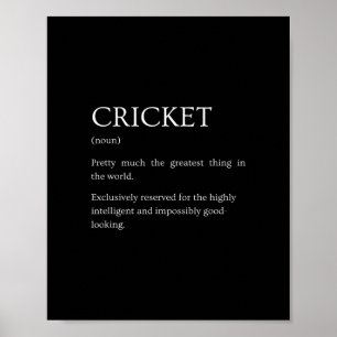 Cricket Definitie - Grappige Sarcastische Cricket Poster