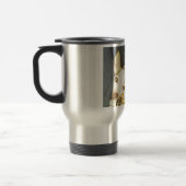 Cricket et tasse de Maybelline (Gauche)