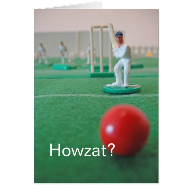 Cricket 'Howzat'? (Voorkant)
