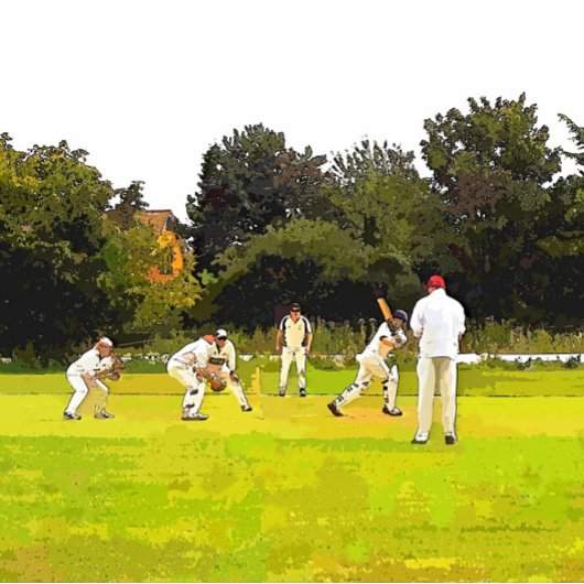 CRICKET LEGPUZZEL