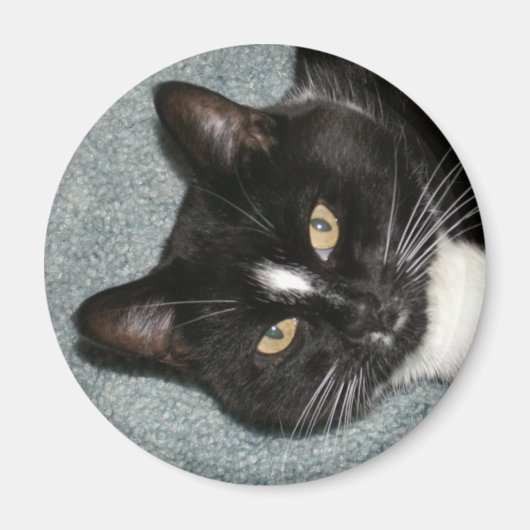 Cricket Magneet (Voorkant)