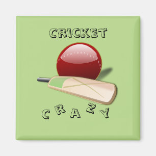 Cricket Magnet Magneet