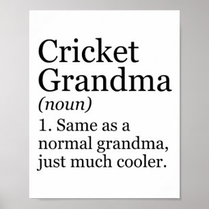 Cricket Oma Definitie Grappig Sarcasme Sport Poster