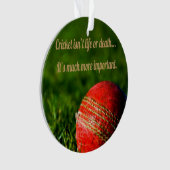 Cricket Red Ball drôle Motivation (devant)