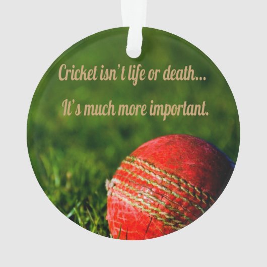 Cricket Red Ball drôle Motivation (dos)