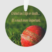 Cricket Red Ball drôle Motivation (devant)