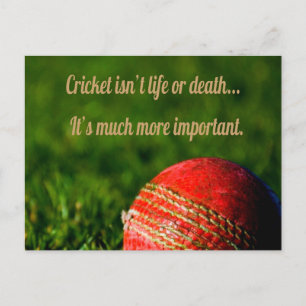 Cricket Red Ball Funny Motivatie Briefkaart