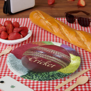 Cricket Red Hard Ball Art Print Papieren Bordje