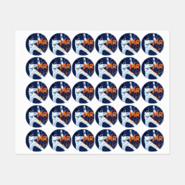 Cricket Stickers 2024