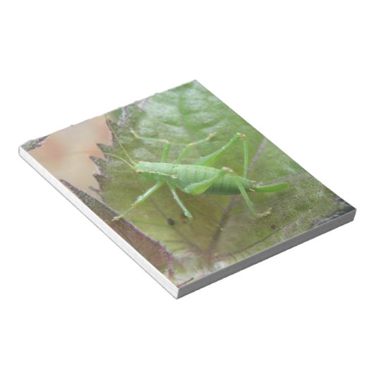 Cricket vert sur Bloc-notes feuille (Incliné)