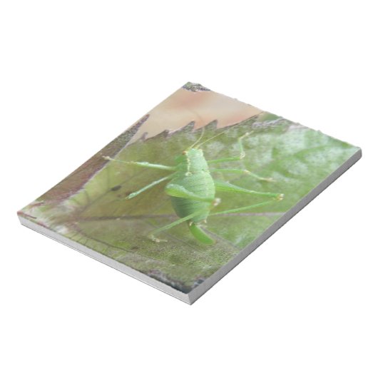 Cricket vert sur Bloc-notes feuille (Tourné)