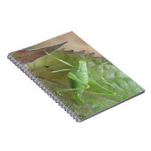 Cricket vert sur un Carnet feuille (Côté Droit)