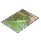 Cricket vert sur un Carnet feuille (Côté gauche)