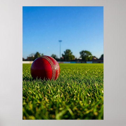 Cricketbal op grensmarkering poster (Voorkant)