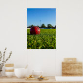 Cricketbal op grensmarkering poster (Keuken)