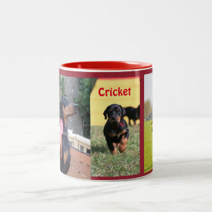 CricketMok Tweekleurige Koffiemok