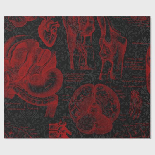 Crimson & Black Damask patterned Vampyre Anatomy Cadeaupapier (Vlak)