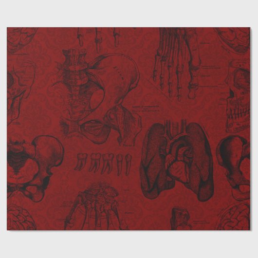 Crimson & Black Skeletons Anatomie Cadeaupapier (Vlak)