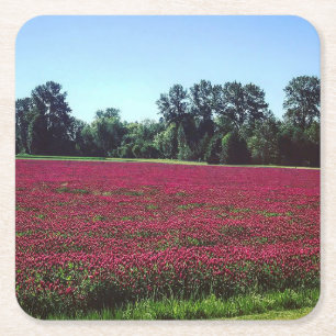 Crimson Clover Field Vierkante Kartonnen Onderzetter