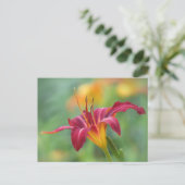 Crimson Daylily Briefkaart (Staand voorkant)