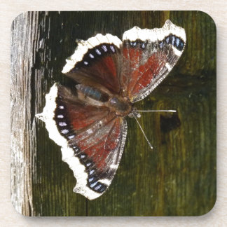 Crimson en White Butterfly Drankjes Onderzetter