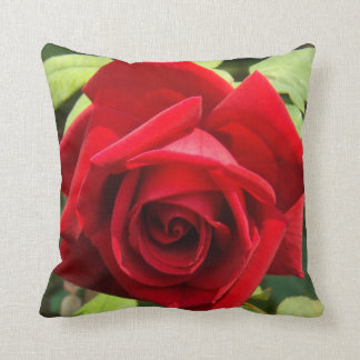 Crimson Glory Roos Pillow Kussen