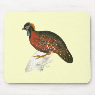 Crimson Horned Pheasant Muismat