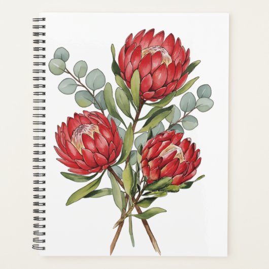 Crimson Protea Bouquet Watercolor (Devant)