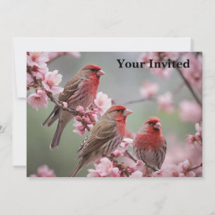 Crimson Trio: Red Finches te midden van roze bloem Kaart