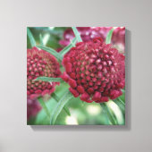 Crimson Wild Flower Canvas Print (Voorkant)