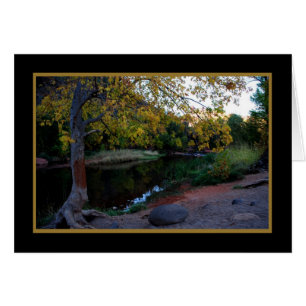 Crique 246 de chêne