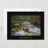 Crique de la forêt rocheuse en Norvège carte posta (Devant / Derrière)