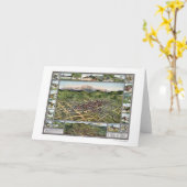 Crique d'estropié, carte panoramique de Co - 1896 (Fleur jaune)