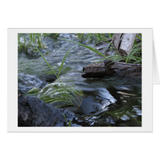 Crique entre Kibbie et lacs flora